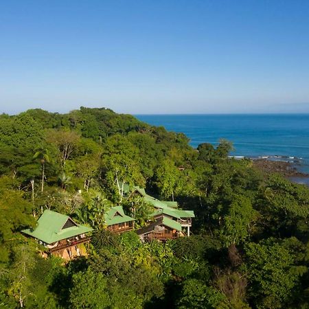 Aguila De Osa Rainforest Lodge Drakes Bay Exteriör bild