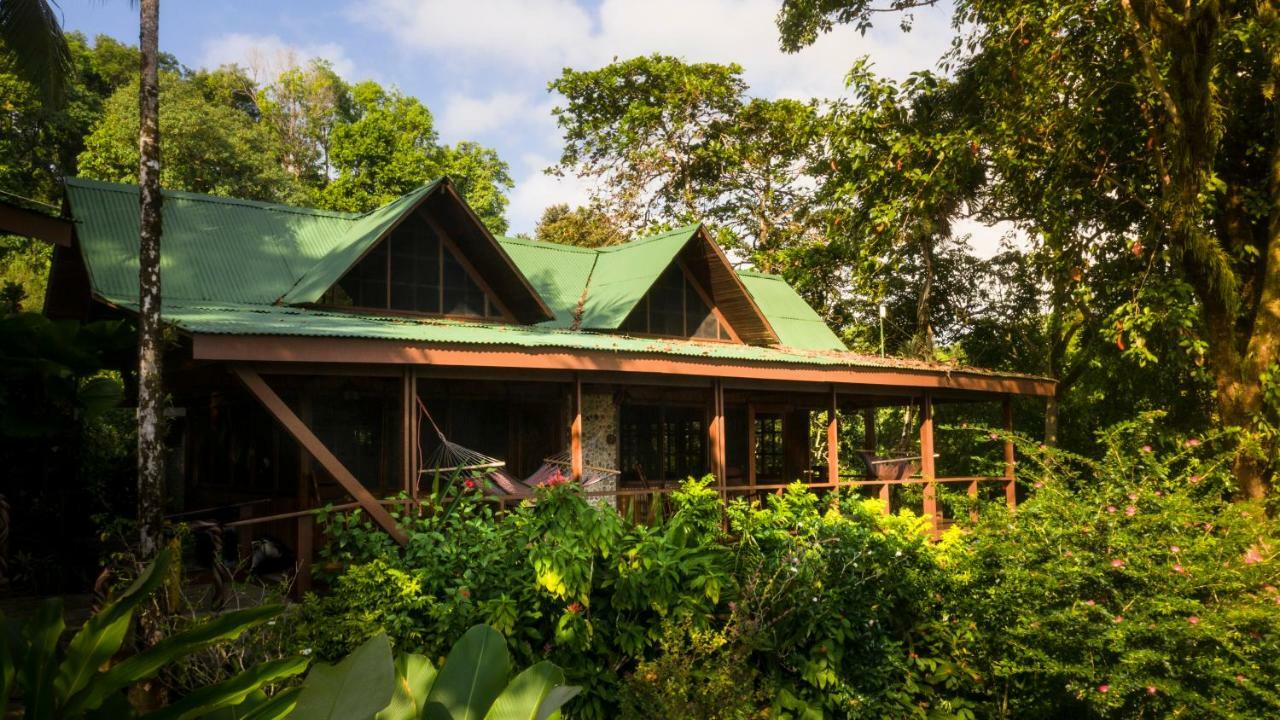 Aguila De Osa Rainforest Lodge Drakes Bay Exteriör bild