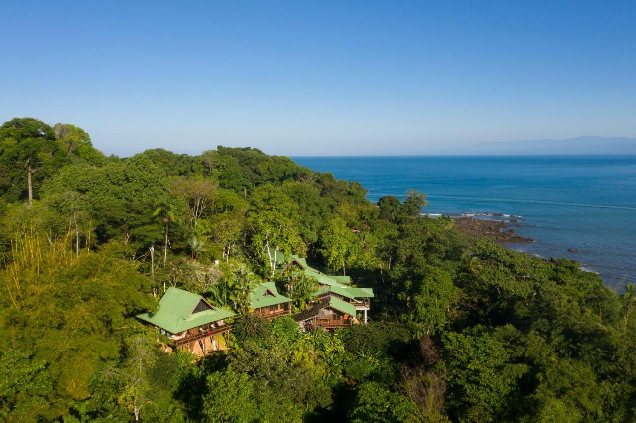 Aguila De Osa Rainforest Lodge Drakes Bay Exteriör bild