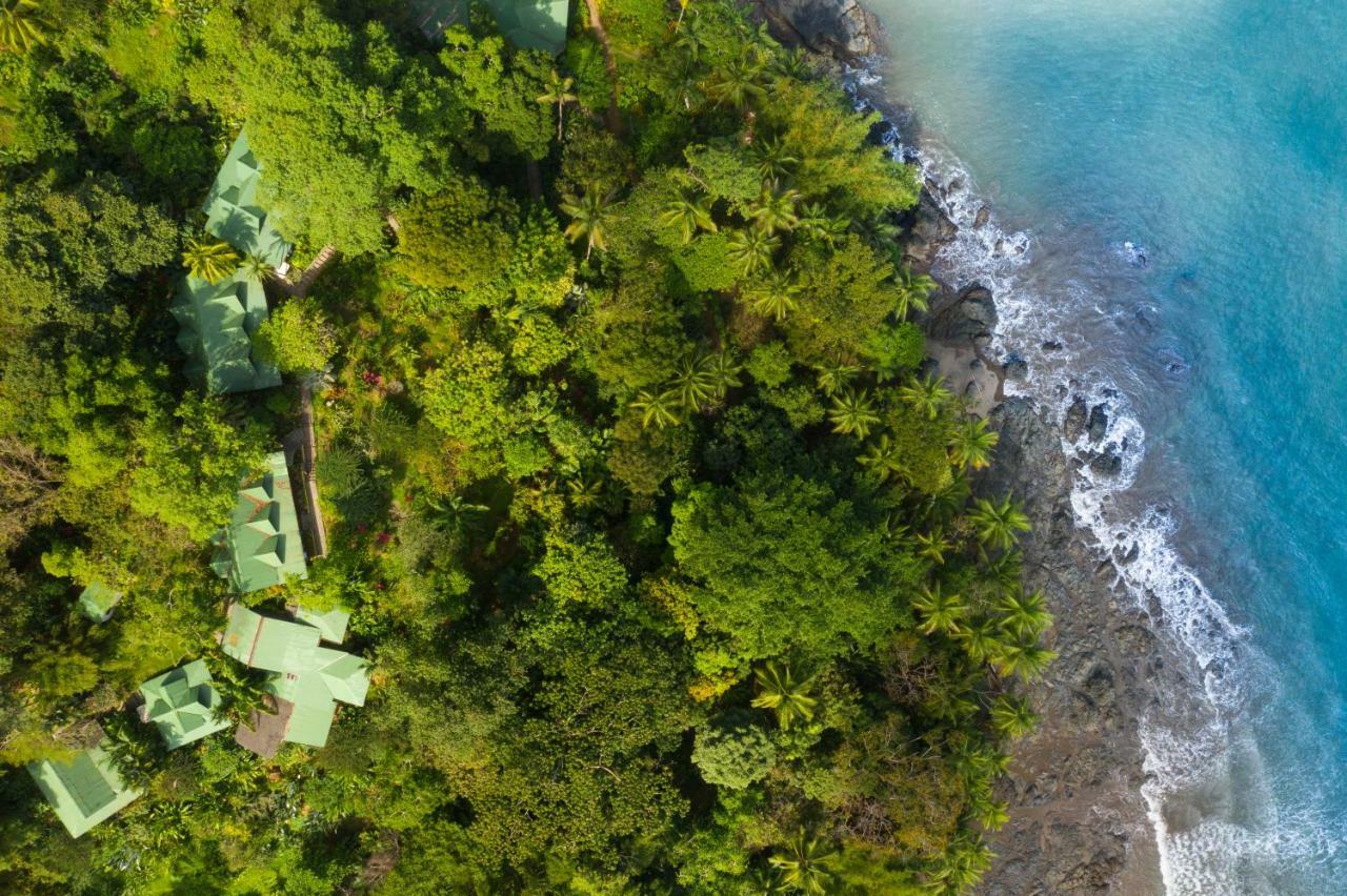 Aguila De Osa Rainforest Lodge Drakes Bay Exteriör bild