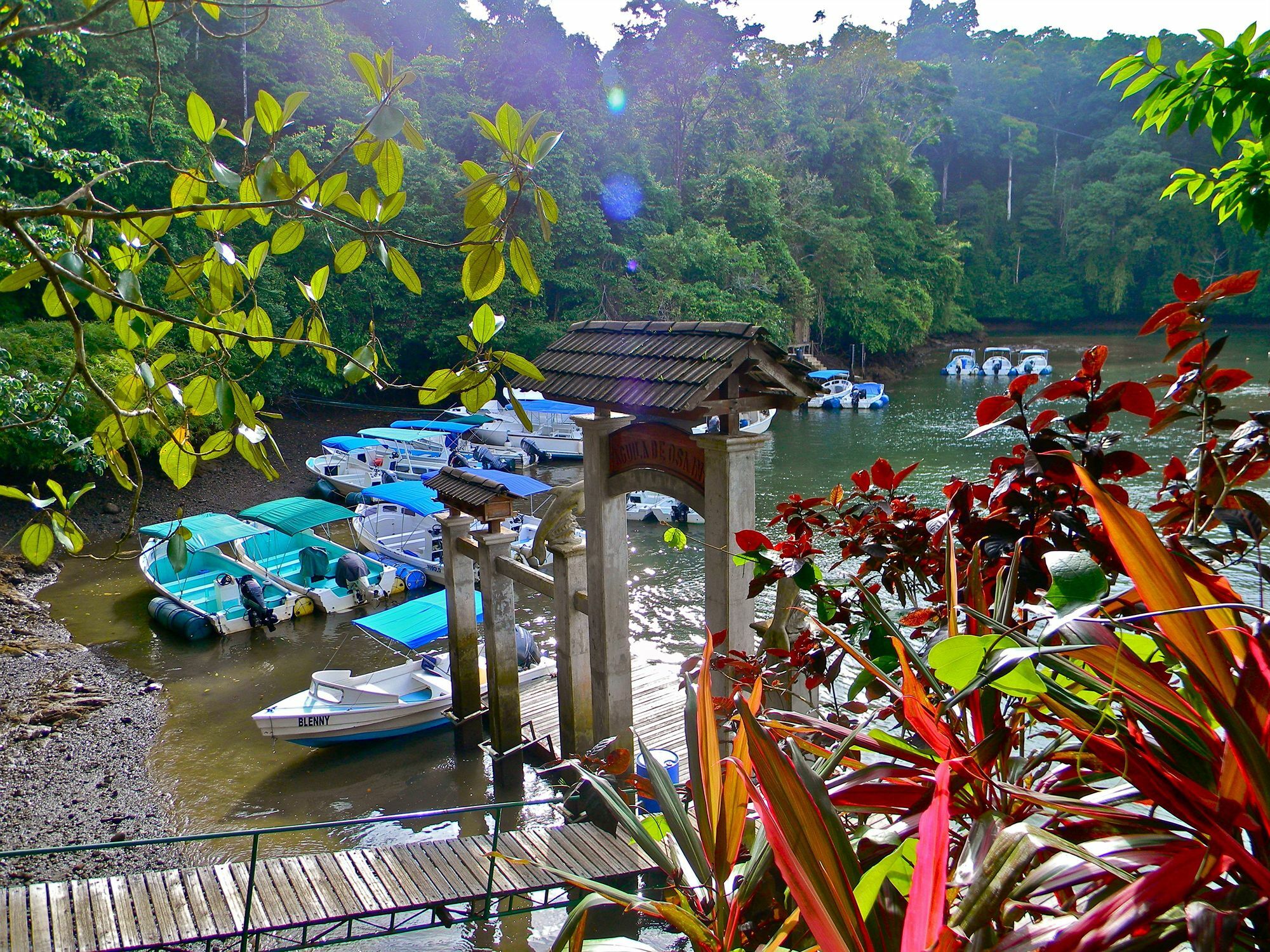 Aguila De Osa Rainforest Lodge Drakes Bay Exteriör bild